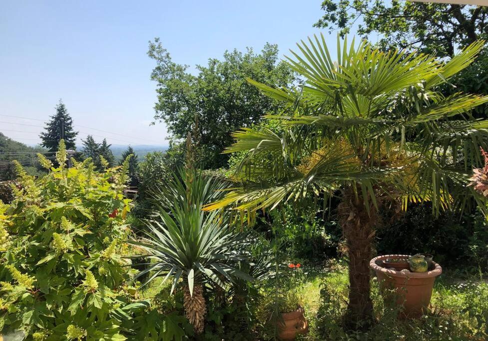 Rillieux-la-Pape Le Jardin Suspendu 아파트 외부 사진